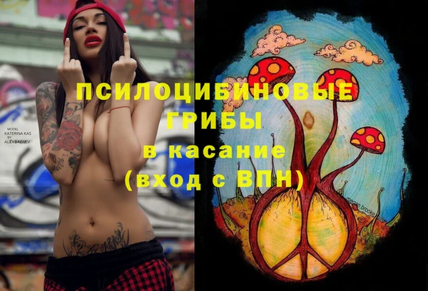 spice Болотное