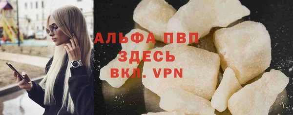 spice Болотное