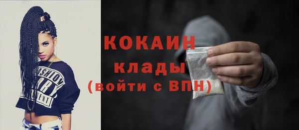 spice Болотное