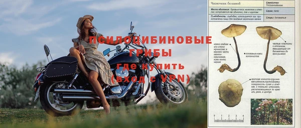 spice Болотное