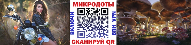 Псилоцибиновые грибы Cubensis  что такое наркотик  Пугачёв 